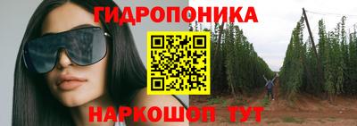 стаф Кунгур
