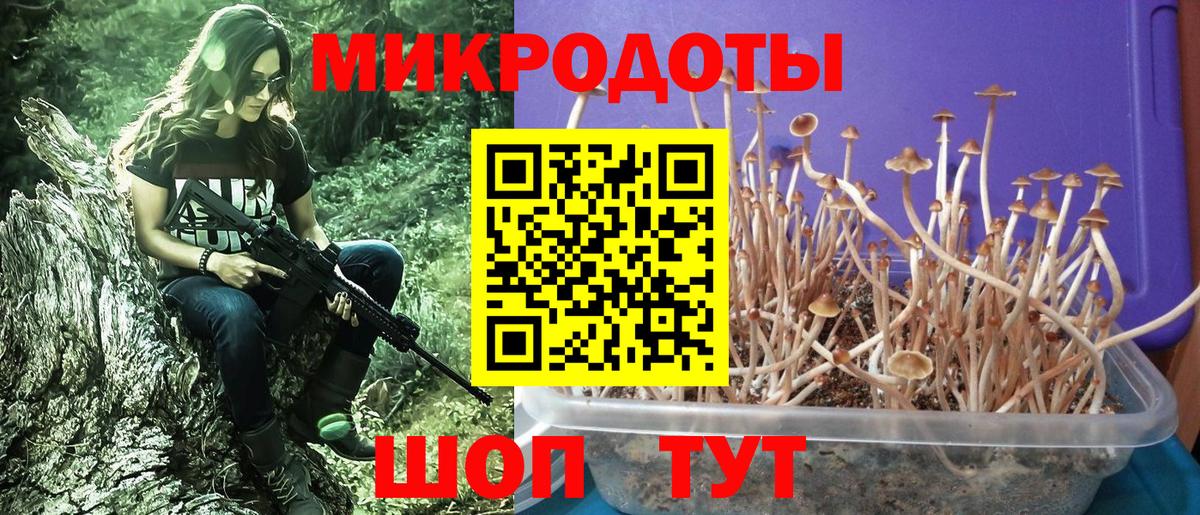 Псилоцибиновые грибы прущие грибы Екатеринбург